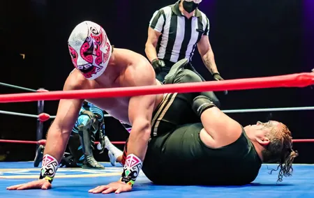 Lucha Libre, Pulque and Tacos Tour in Mexico City