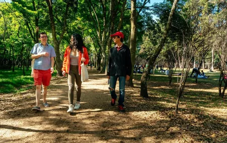 Off the Beaten Track in Mexico City: Private City Tour