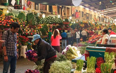 Memorial Magic: A Downtown Day of the Dead Tour
