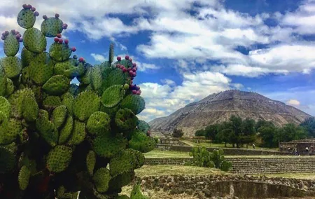 Teotihuacan and Tula Private Archeology Tour from Mexico City
