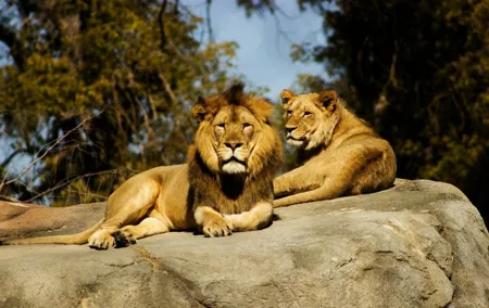 Wildlife and Ancient Expedition Tour in Teotihuacan Safari