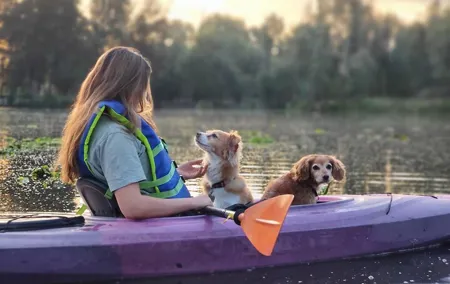 Xochimilco Sunrise Tour: Kayak at the Magic Morning Light