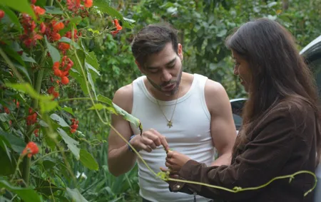 Urban Orchard in Desierto de los Leones in Mexico City