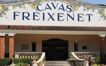 Wine and Cheese Route: Artisan Flavors at Freixenet and Bocanegra