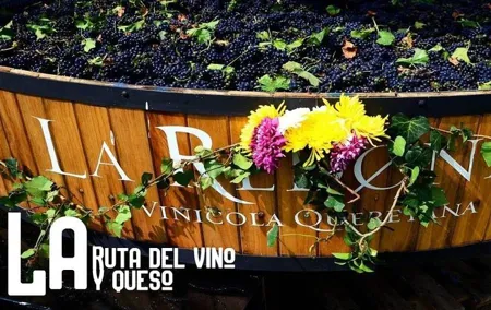 Private Tour: Wine and Cheese Route from CDMX (All included)