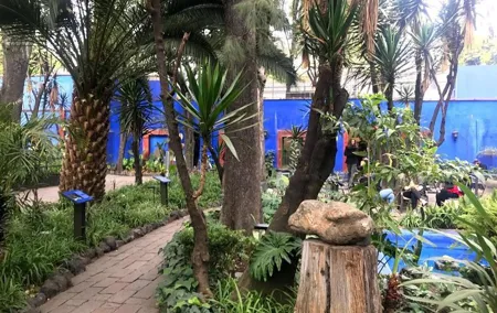 Private Tour to visit Coyoacan and Frida Kahlo Museum