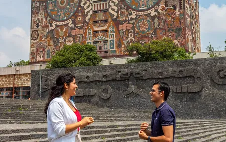 Guided Walking Tour Describing UNAM Murals and Revolution