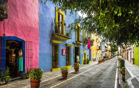 Hidden Gems of Mexico City: Exploration Game and Tour