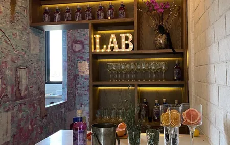 Purification Distilled Your Craft Gin from Scratch at CDMX