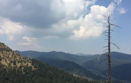 Alpinism Pico del Águila (Ajusco, CDMX)