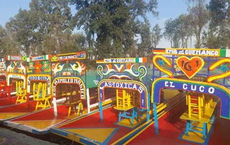 Xochimilco Floating Gardens and Coyoacan Private Tour