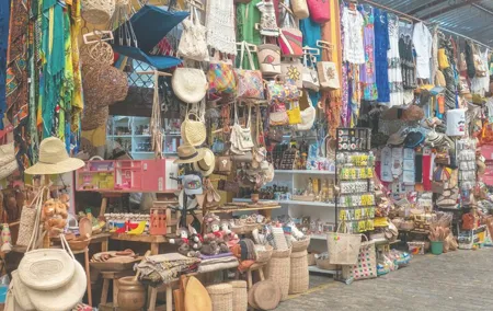 Private Tour of the Market Routes of Mexico City
