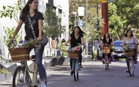 Bike adventure through the Historic Center of Mexico City