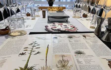 Mezcal & Tequila Tasting at Mexico City with full dinner