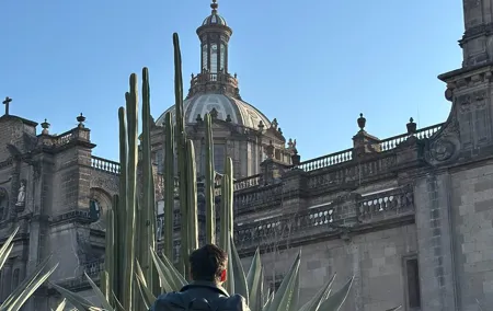 DE Mexico CD Walking Tour with Local Guide and Bilingual