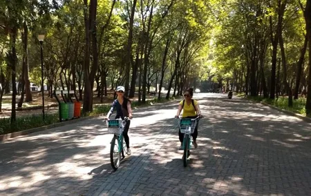 The best of Mexico City Bike Experience EXPRESS