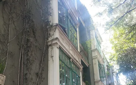 Private guided walking tour in La Condesa neighborhood with transportation