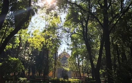 EXCLUSIVE TOUR of the Old Quarter of Coyoacan - small groups