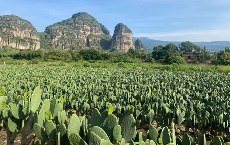 Tour to Discover Tlayacapan, the other side of Tepozteco