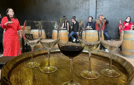 Wine and Cheese tasting at Peña de Bernal