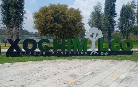 Private Xochimilco Boat Ride, Food & Mariachi from Mexico City