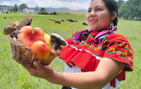 Taste and Tradition Acaxochitlán Culinary Tour from Mexico City