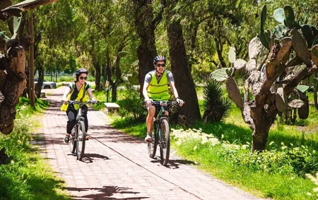 Teotihuacan Biking Tour with History and Pulque Tasting