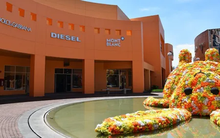Private Shopping Tour from Mexico city to Outlets Punta Norte