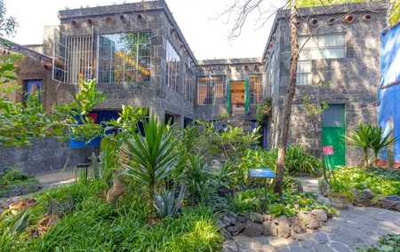 Mexico City Layover Tour Art, Culture and Color