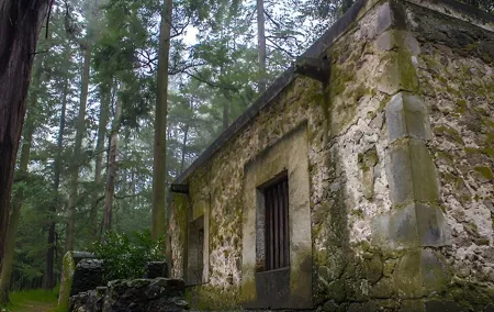 Discover Hiking Trails and a Convent in Desierto de los Leones