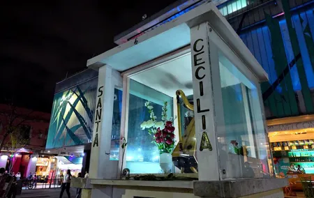 Garibaldi Nights Tour