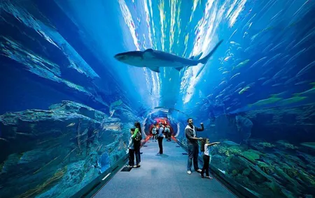 Dubai Aquarium and Underwater Zoo