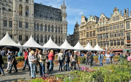 Brussels HoHo Bus Choco Story and Beer World Ticket