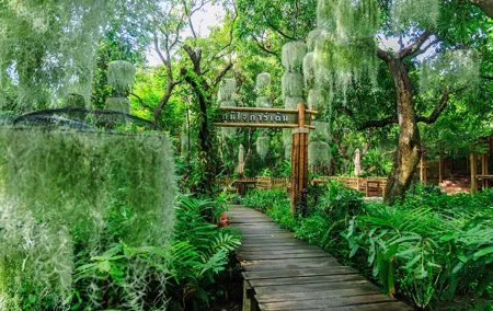 Poomjai Garden Private Tour Bangkok