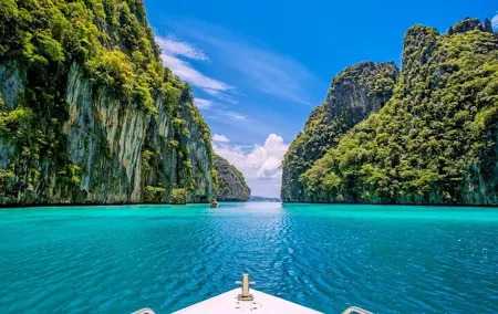 Phi Phi Islands, Maya Island and Bamboo Beach Speedboat Day Tour