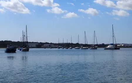 Private Tour 6 hours by Boat on the Tagus