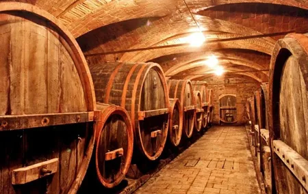Chianti Lovers Tour- 2 Wineries and SuperTuscan Small Group from Pisa