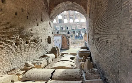Rome Colosseum, Palatine Hill and Roman Forum Guided Tour