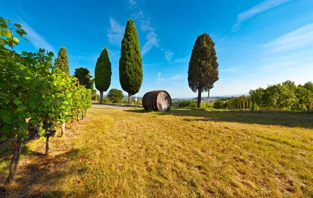 Chianti Delights: Tuscany Private Wine Tour from Florence
