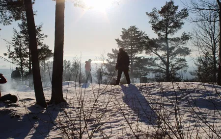 Panoramic Peaks and Oslo’s Best Fjord Views Hike