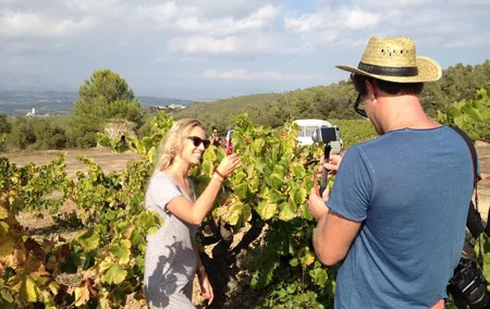 Wine tasting & E-bike Barcelona's coastline Small Group tour