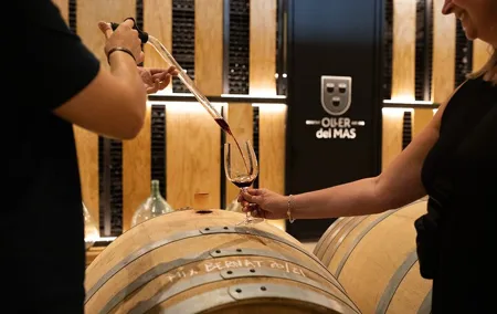 Montserrat Tour with Winery Lunch & Exclusive Cellar Experience