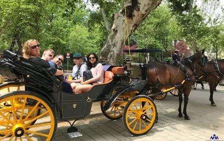 Seville Guided Horse Carriage Private Tour