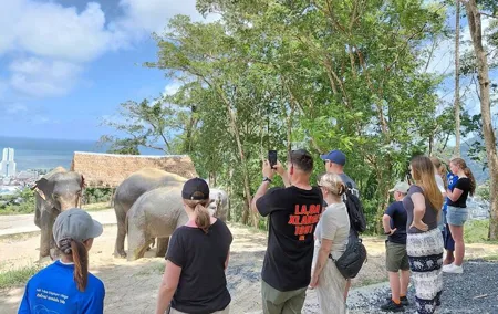 Elephant Sanctuary Small Group Tour in Phuket
