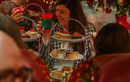 Christmas Lights Afternoon Tea Bus Tour