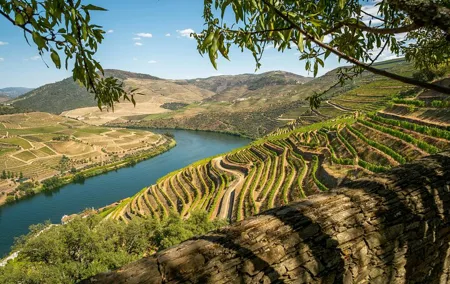 Exclusive Douro Valley Tour: Wine Tastings, Lunch & River Cruise
