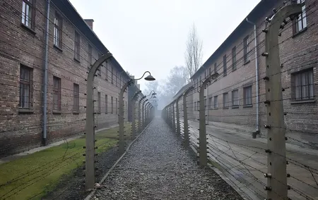 Auschwitz Birkenau Guided Tour with Transport