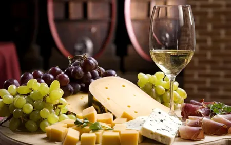 Afternoon Wine Tasting Aperitif on the vineyards Small Group from Pisa