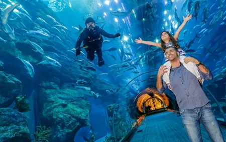 Dubai Aquarium & Underwater Zoo - Basic