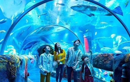 Shared Istanbul Aquarium and Florya City Tour